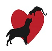 Cheek To Cheek Hospital For Animals Logo